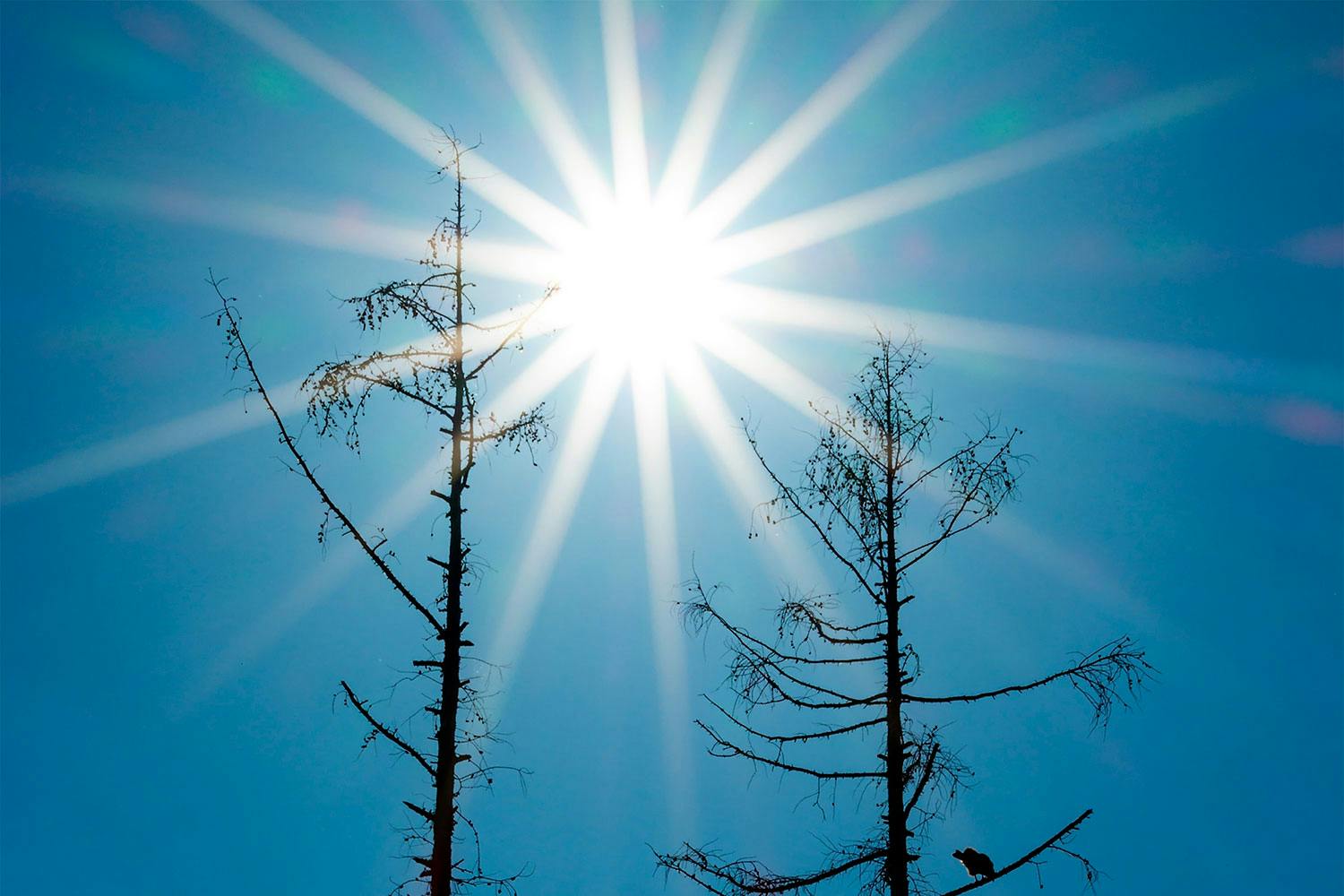 Diffraktio Pienellä aukolla kuvattaessa auringon säteet erottuvat selvästi.